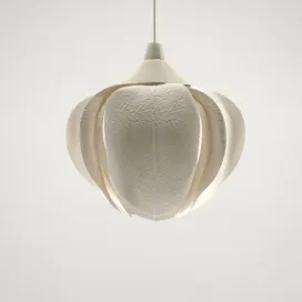 Ceiling lamp